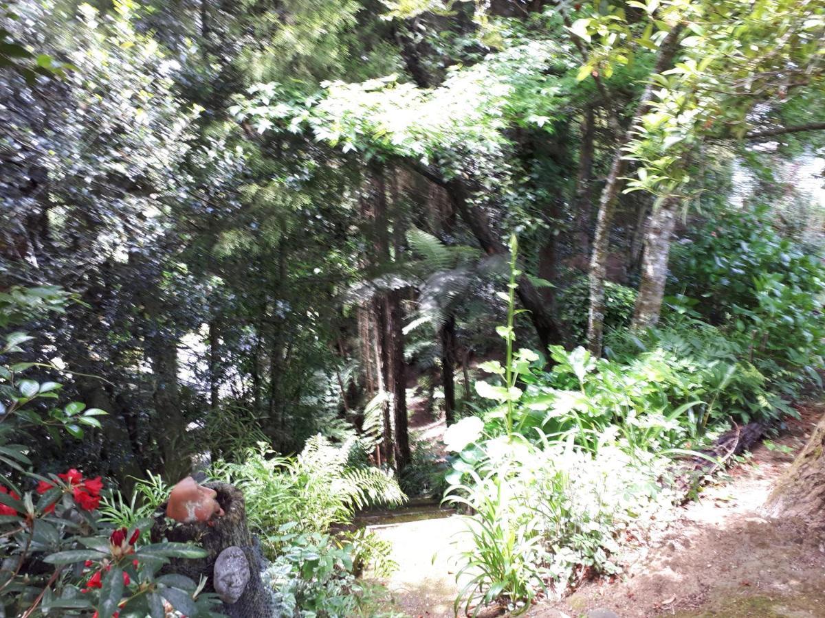 Rangaroa Heights Taumarunui Exterior foto
