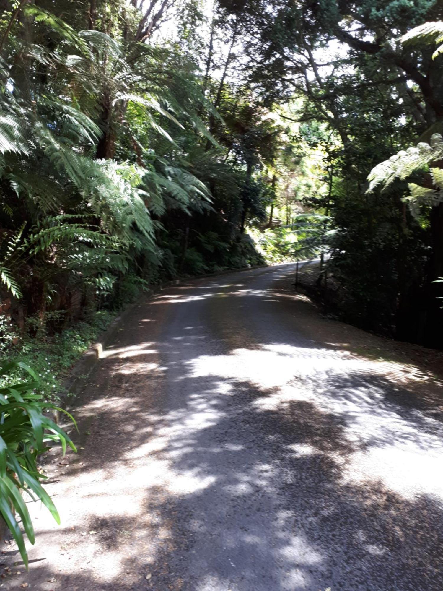Rangaroa Heights Taumarunui Exterior foto